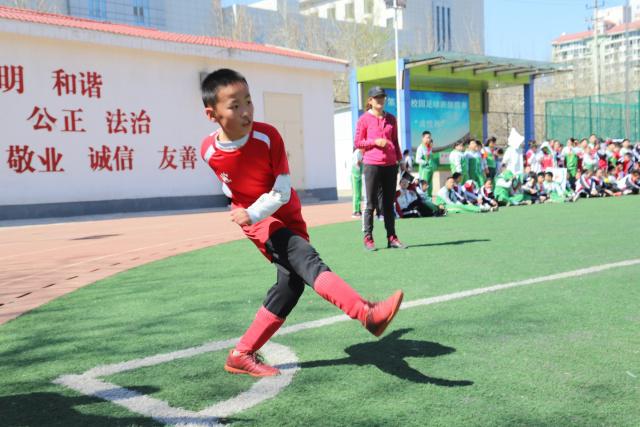 体育时评：别让功利主义毁掉中国足球的未来